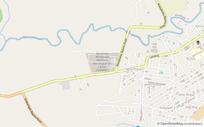 northern mindanao wellness and reintegration center malaybalay location map