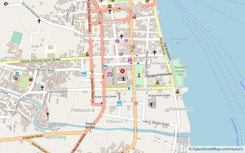 Dumaguete Cathedral location map