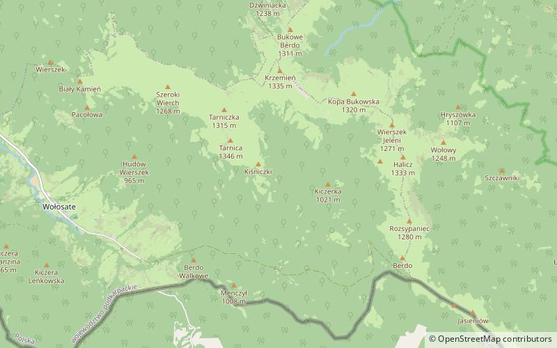 Tarnica location map