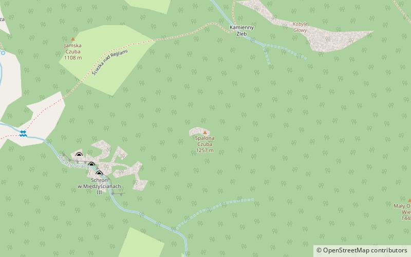 Spalona Czuba location map