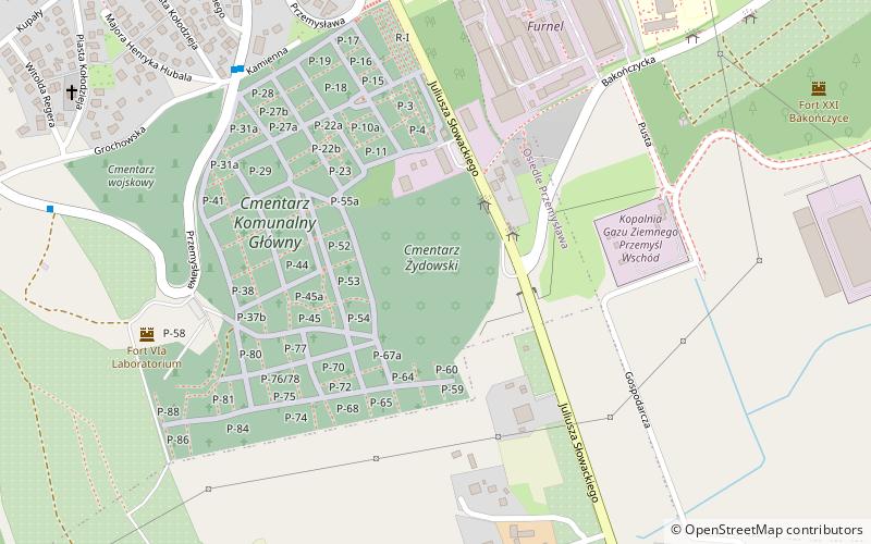 Jewish Cemetery location map