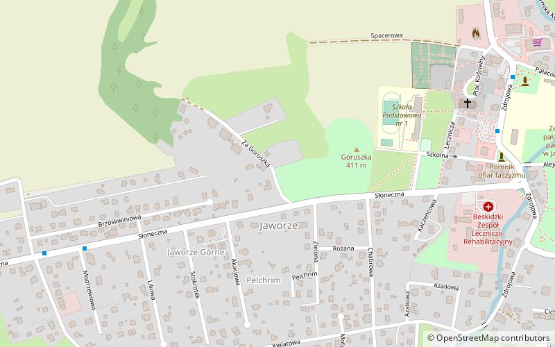 Jaworze location map
