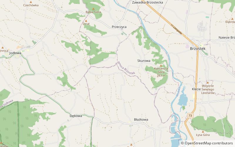 Cmentarz wojenny nr 229 – Skurowa location map