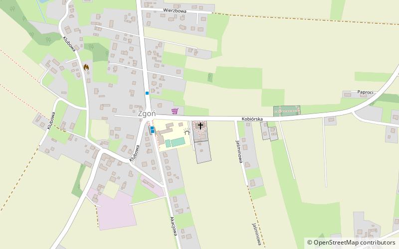 Parafia św. Antoniego z Padwy w Orzeszu location map