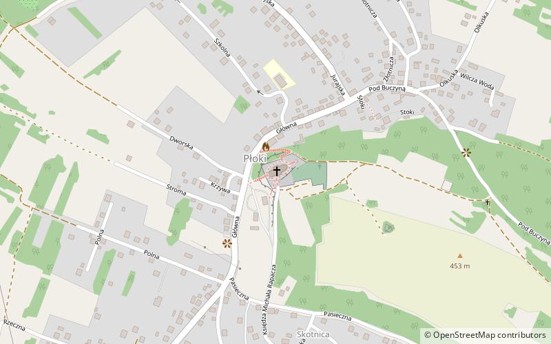 Parafia Narodzenia Najświętszej Maryi Panny w Płokach location map