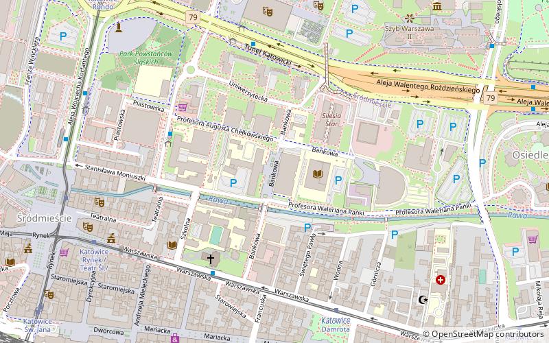 Schlesische Universität location map