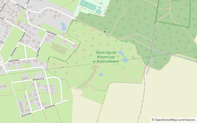 Śląski Ogród Botaniczny w Radzionkowie location map