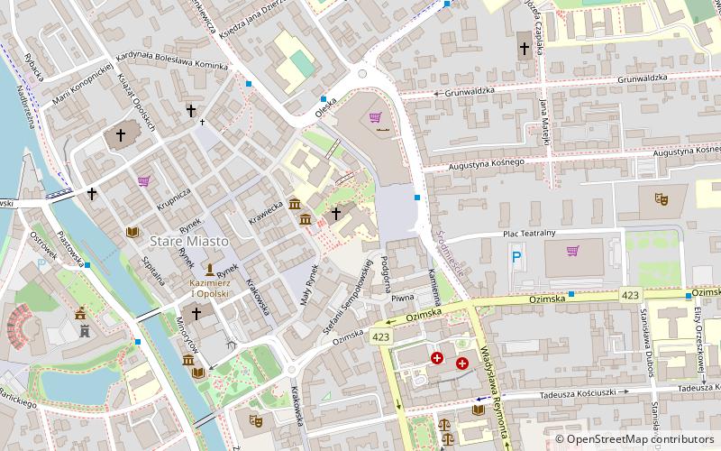 University of Opole location map