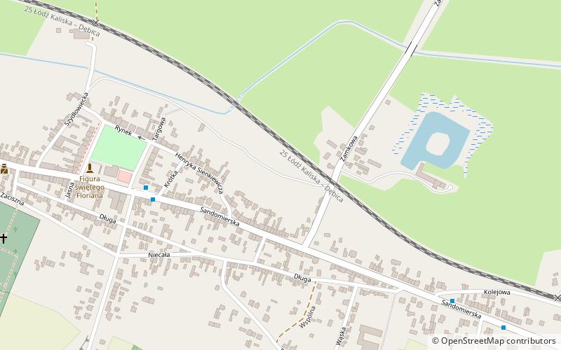 Ćmielów location map