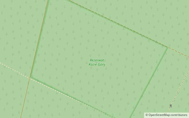 rezerwat przyrody kozie gory lubartow location map