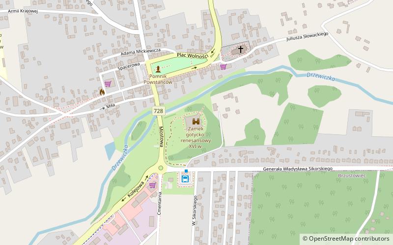 Drzewica Castle location map