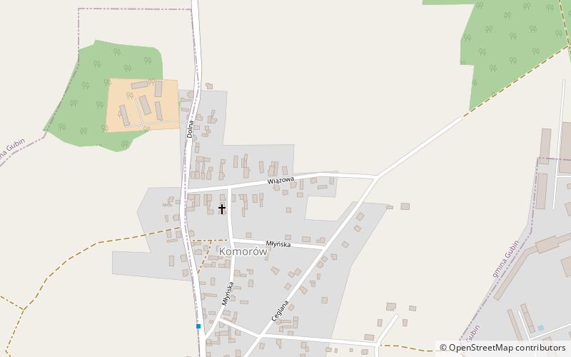 Wiąz Wiedźmin location map