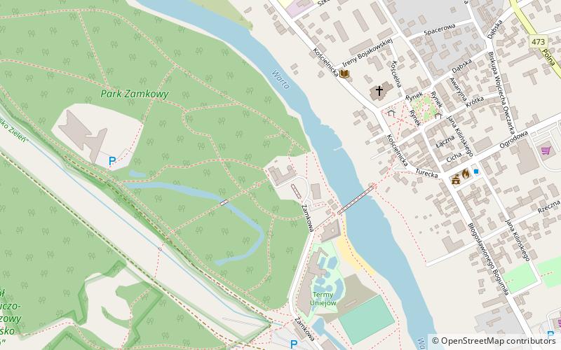 Uniejów Castle location map