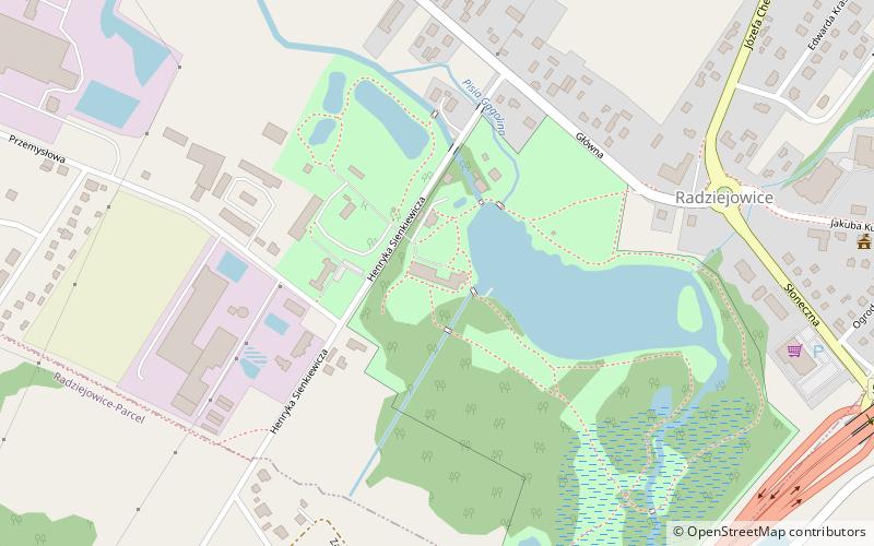 Radziejowice Castle location map
