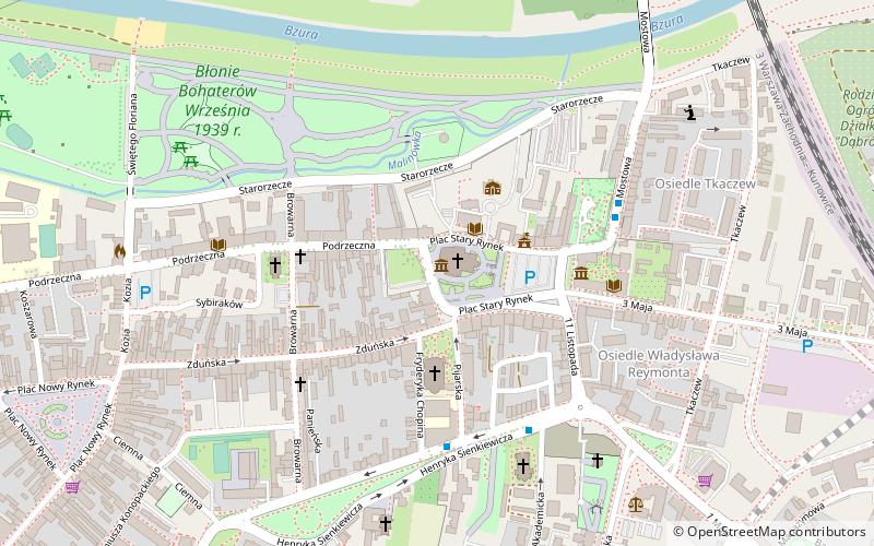 Cathédrale de l'Assomption-et-Saint-Nicolas de Łowicz location map