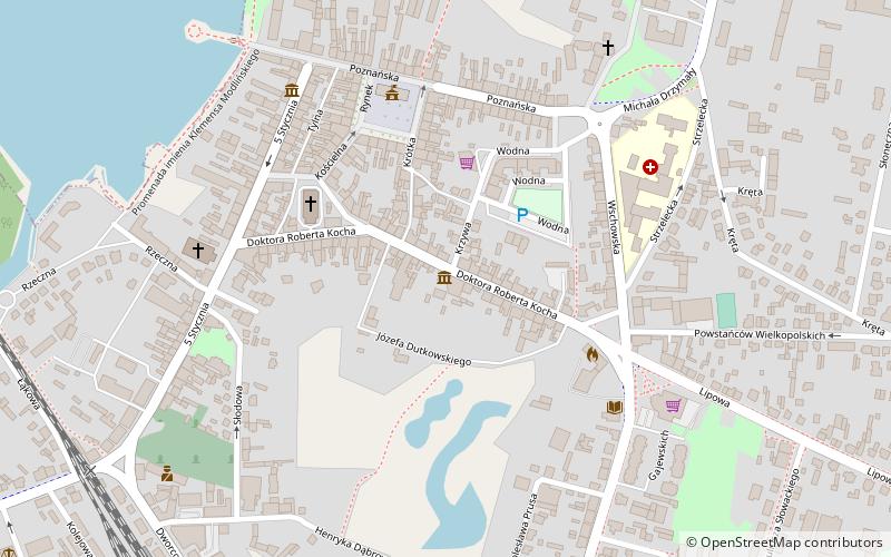 Muzeum Roberta Kocha location map