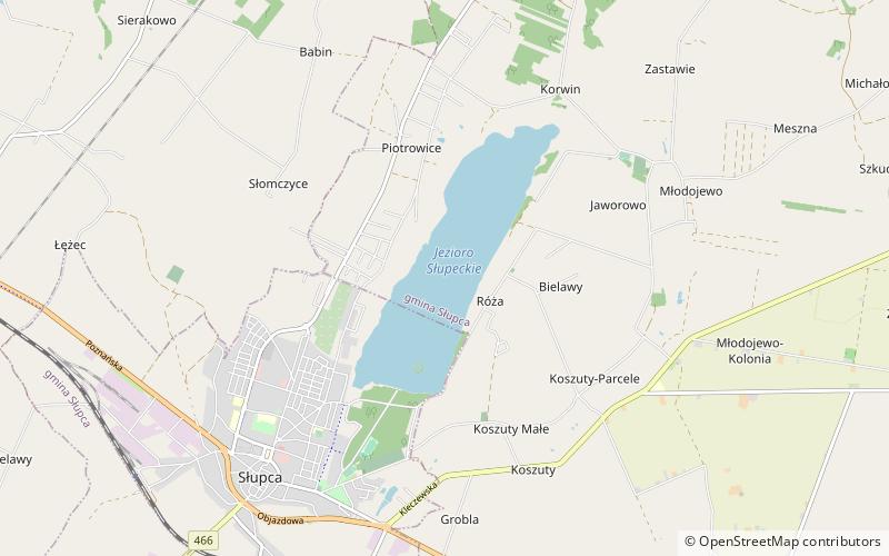 Słupca Lake location map