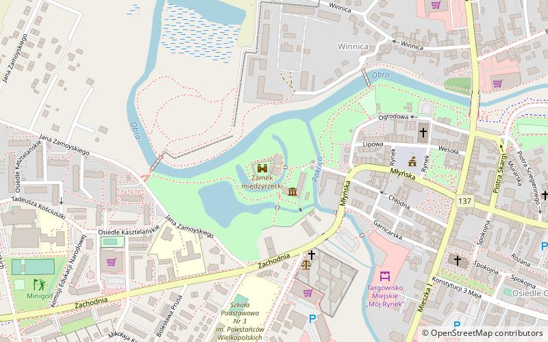 Międzyrzecz Castle location map