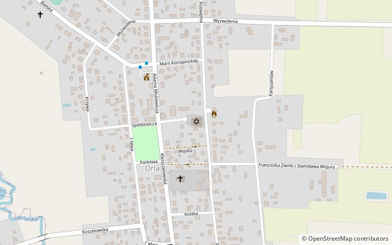 Synagoga w Orli location map