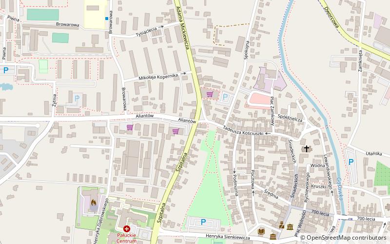 powiat znin znin location map