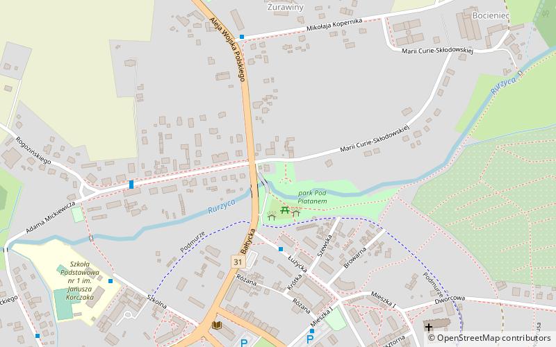 Platan Olbrzym location map