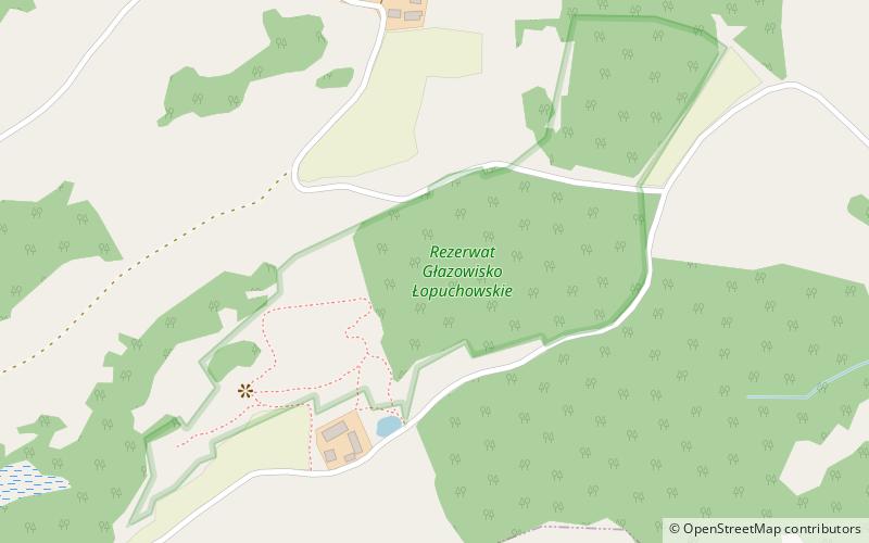 Rezerwat przyrody Głazowisko Łopuchowskie location map