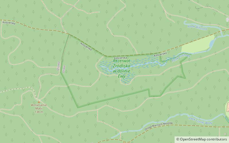 Rezerwat Źródliska w dolinie Ewy location map