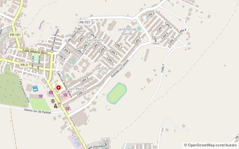 Patillas location map
