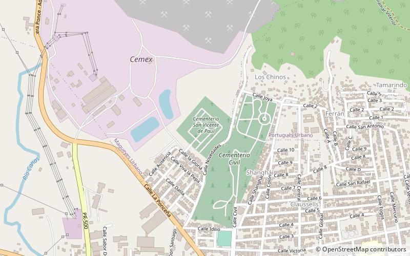 Cementerio Católico San Vicente de Paul location map
