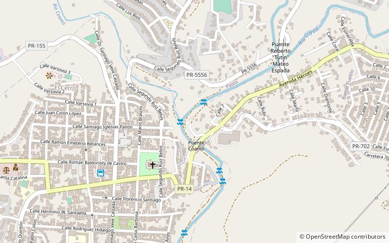 cuyon river coamo location map