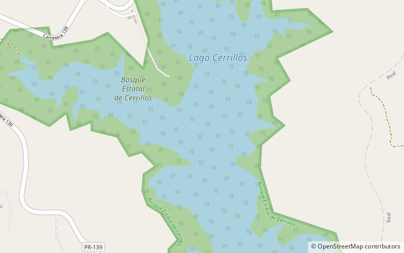 Lake Cerrillos location map