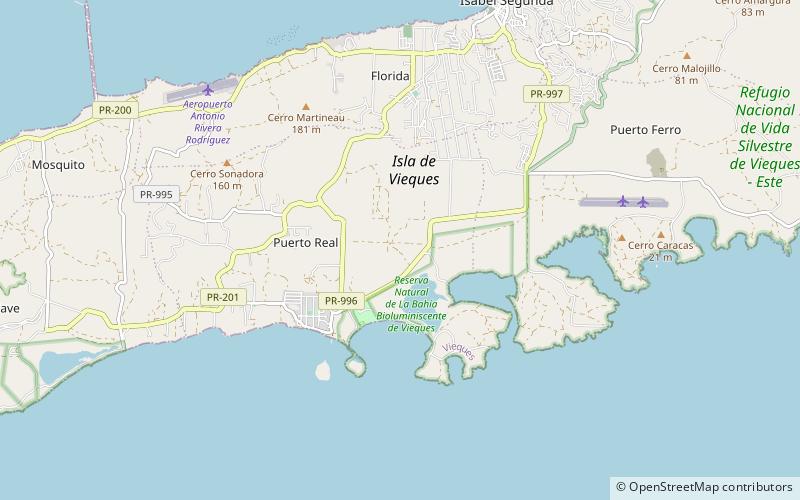 Archaeological Area of the Hombre de Puerto Ferro location map