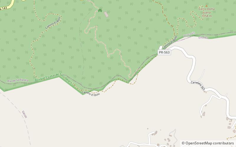 Cerro El Bolo location map