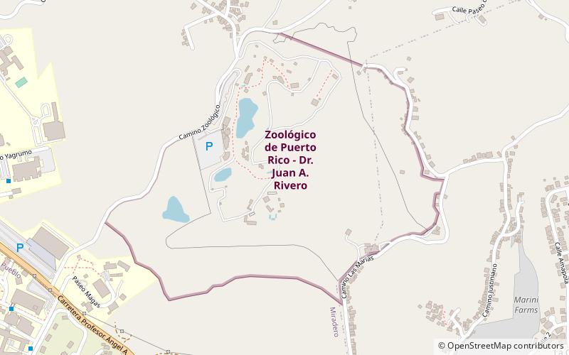Dr. Juan A. Rivero Zoo location map