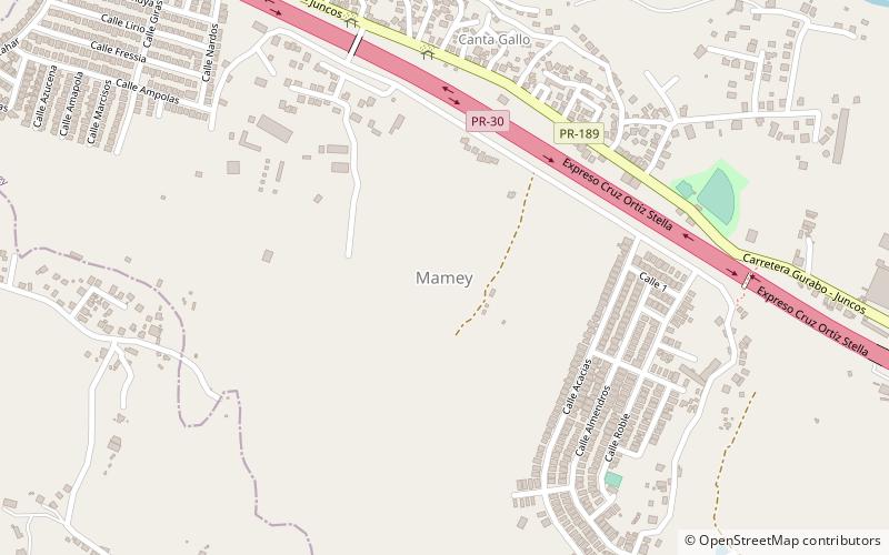 Mamey location map