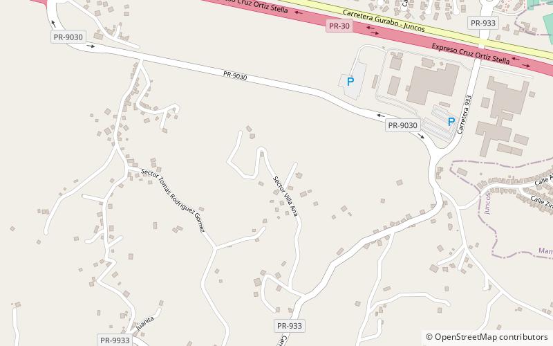 mamey gurabo location map
