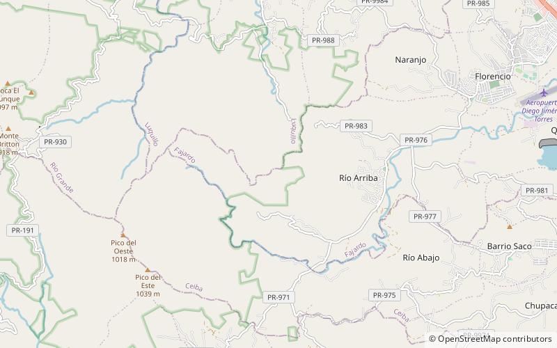 Río Arriba location map