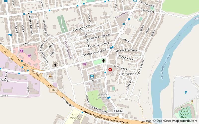 plaza rey san fernando iii carolina location map