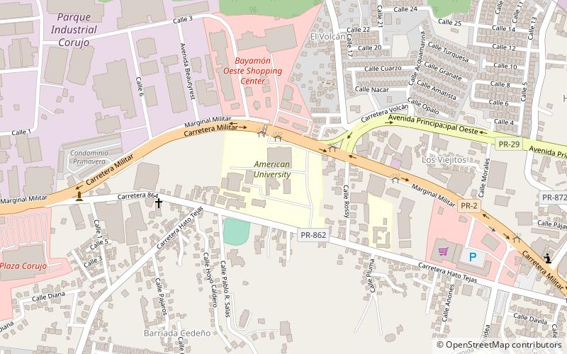 american university of puerto rico bayamon location map