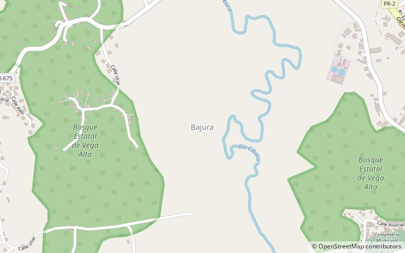 bajura vega alta location map