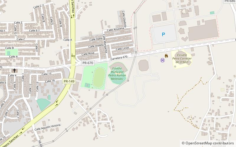 estadio municipal pedro roman melendez manati location map