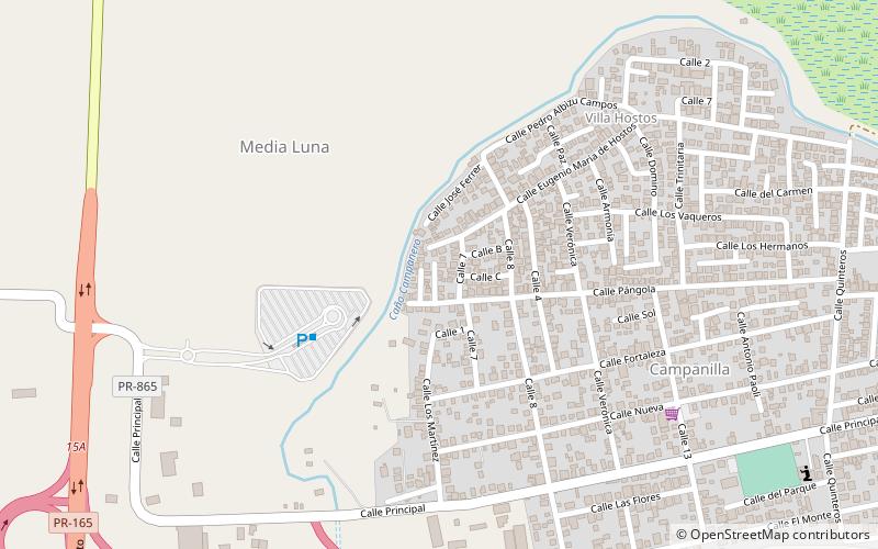 media luna toa baja location map