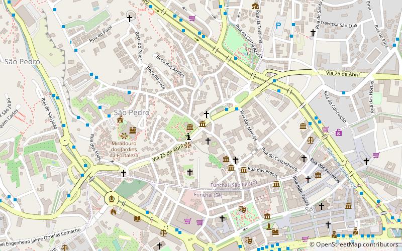 museu joao carlos abreu funchal location map