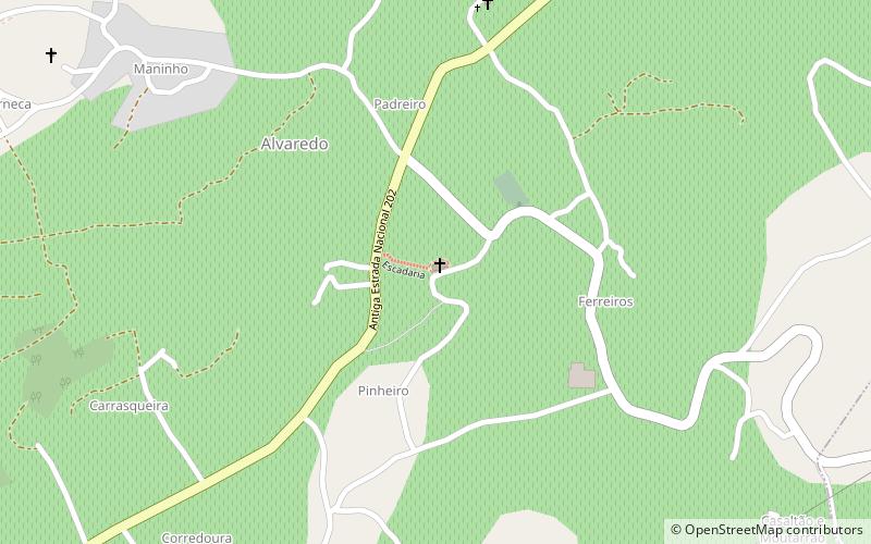 São Martinho location map