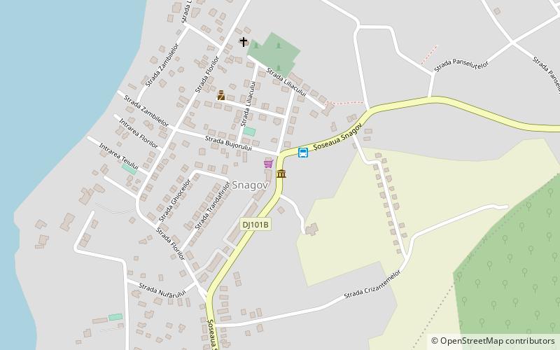 colectia publica istoria locala zona snagov codrii vlasiei location map