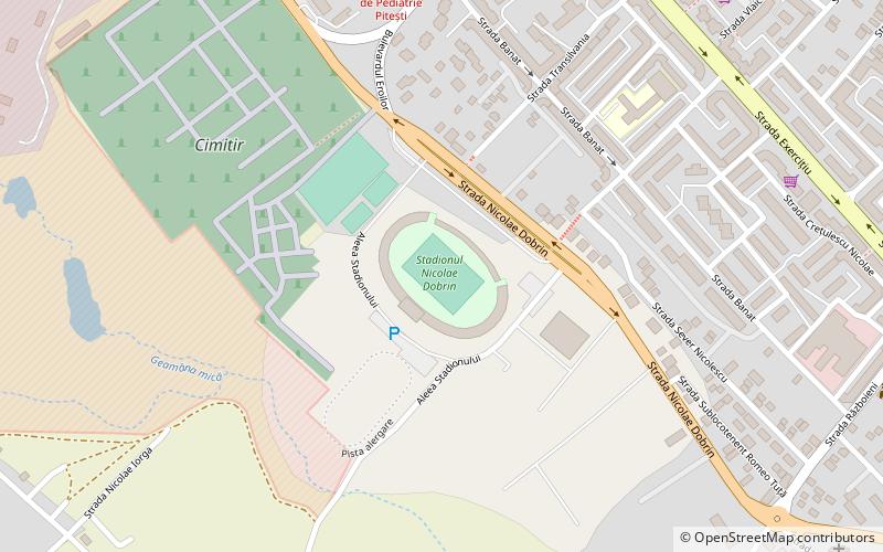 Estadio Nicolae Dobrin location map