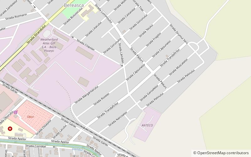 castra of ploiesti ploeszti location map