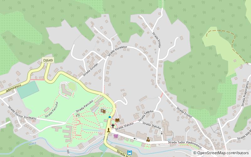 Băile Govora location map