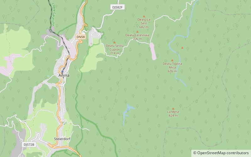 buhui cave anina location map
