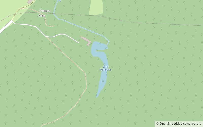 marghitas lake anina location map